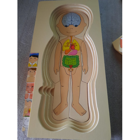 Puzzle Rompecabezas De Vestir Educativo Cuerpo Humano Niños